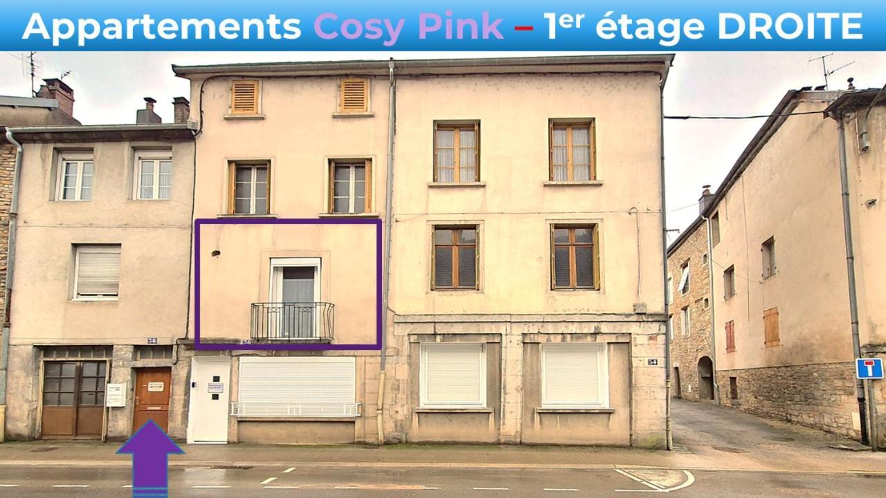 Appartement Cosy Pink Salins Les Bains Екстериор снимка